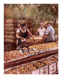 Painting of Lady selling peaches