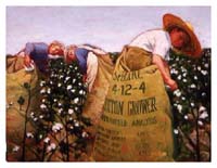 Cotton Picking